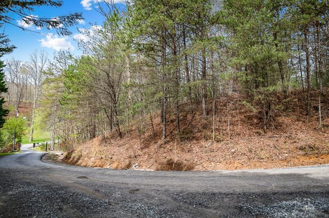 Lot 1 Wolf Creek Estates, Mineral Bluff, GA 30559