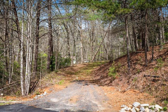Lot 1 Wolf Creek Estates, Mineral Bluff, GA 30559