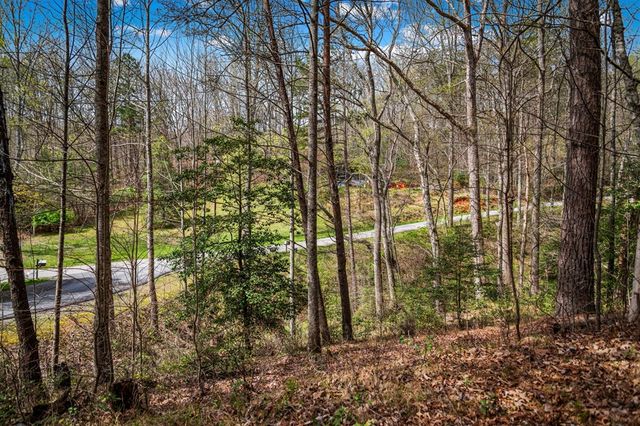 Lot 1 Wolf Creek Estates, Mineral Bluff, GA 30559