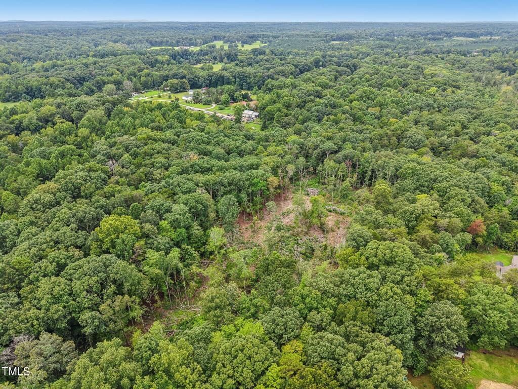 0 Olivia Pope Way, Efland, NC 27243