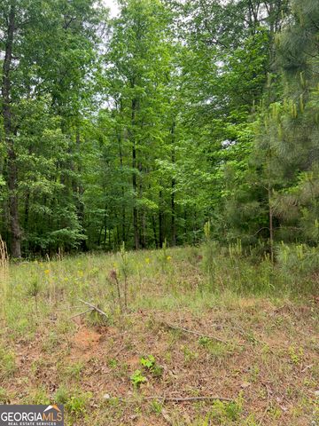 1585 N Ola Road, Mcdonough, GA 30252