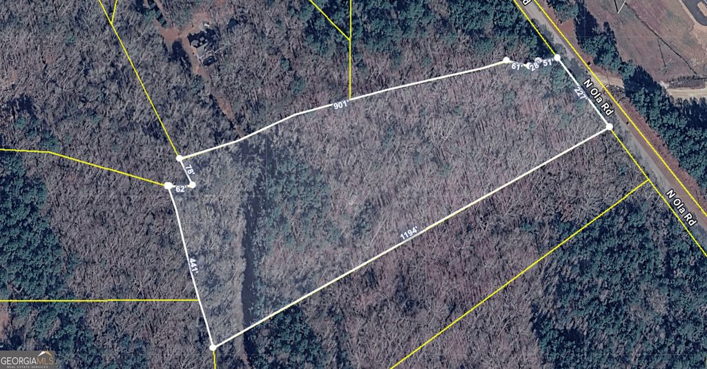 1585 N Ola Road, Mcdonough, GA 30252