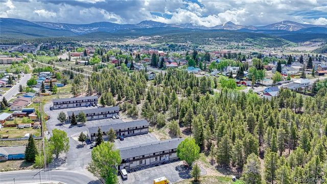 921 Mt Massive Drive 15, Leadville, CO 80461
