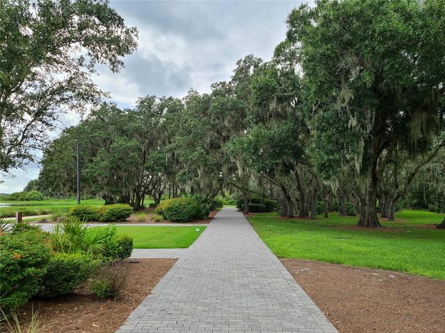 11826 GAVIN LANE, Odessa, FL 33556
