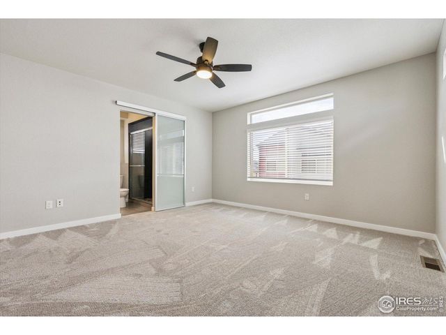 4241 Coriander St, Castle Rock, CO 80109