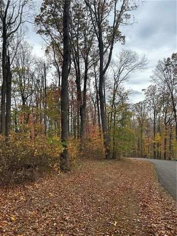 342 High Rock Trail, Ellijay, GA 30175