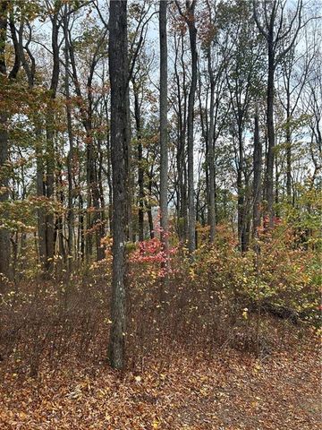 342 High Rock Trail, Ellijay, GA 30175