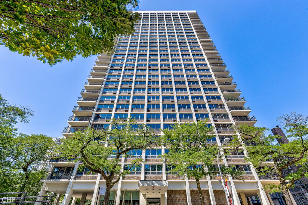 88 W Schiller Street 2602, Chicago, IL 60610