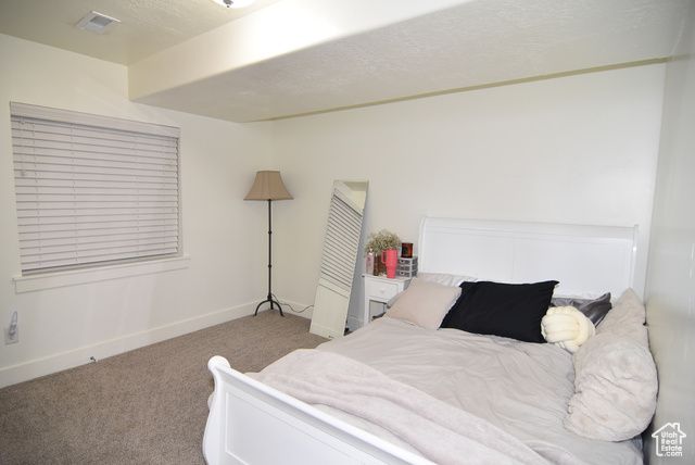 1146 S 50 E, Salem, UT 84653