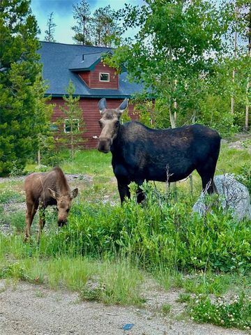 1384 GCR 494, Grand Lake, CO 80447