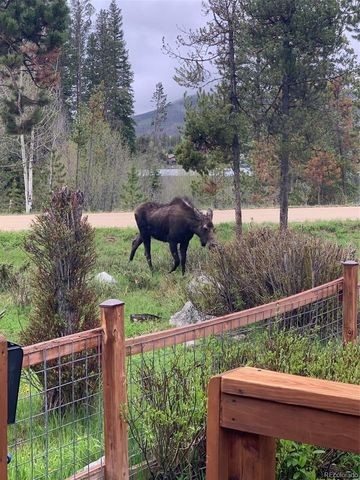 1384 GCR 494, Grand Lake, CO 80447