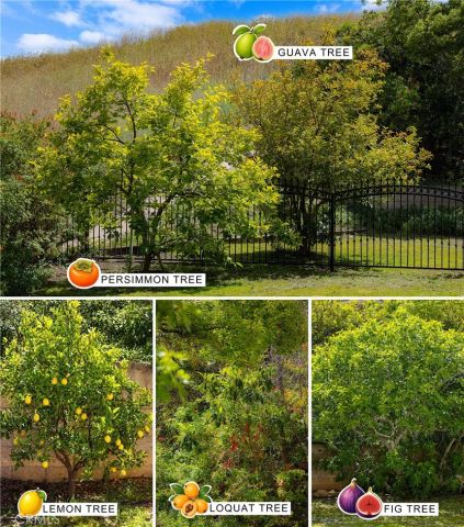 689 Leyland Drive, Diamond Bar, CA 91765