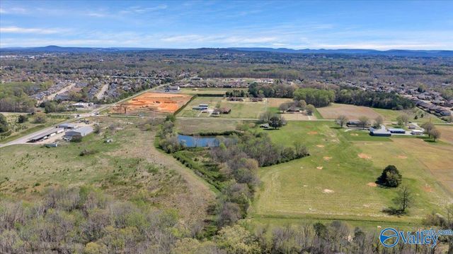 10.17 acres Burgreen Road, Madison, AL 35756