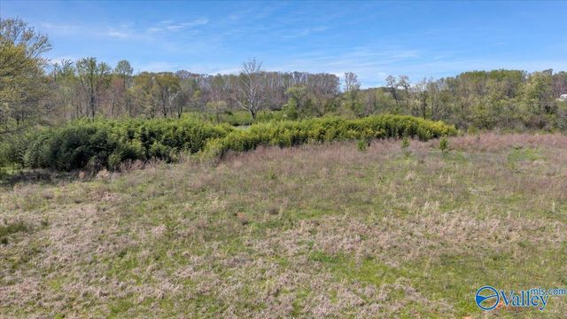 10.17 acres Burgreen Road, Madison, AL 35756
