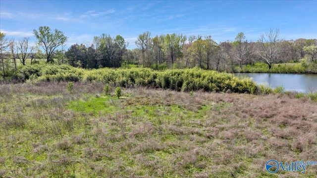 10.17 acres Burgreen Road, Madison, AL 35756