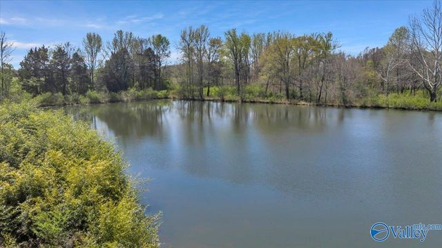 10.17 acres Burgreen Road, Madison, AL 35756