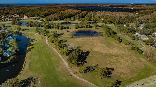 3870 PHEASANT COURT, Palm Harbor, FL 34685