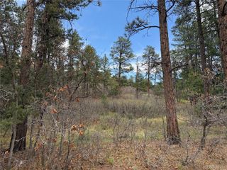 4885 Red Rock Drive, Larkspur, CO 80118