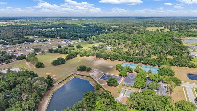 6004 HAMMOCK HILL AVENUE, Lithia, FL 33547