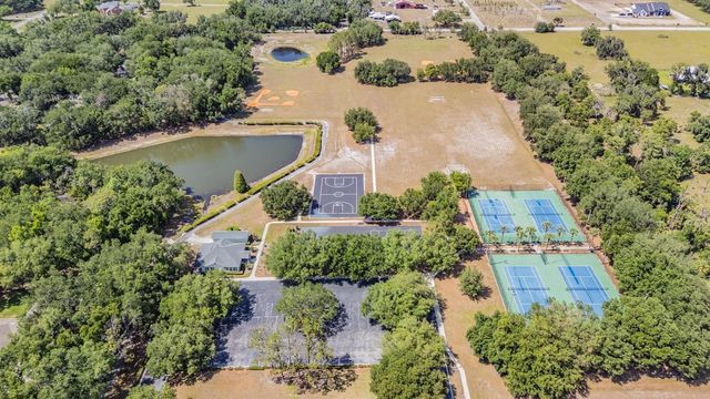 6004 HAMMOCK HILL AVENUE, Lithia, FL 33547