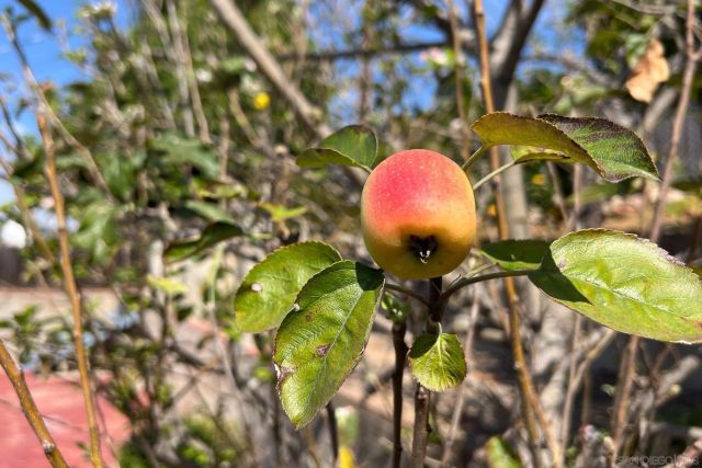 5037 Waring Rd, San Diego, CA 92120