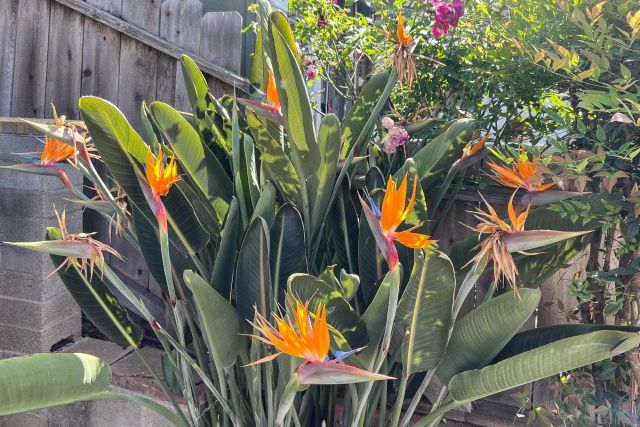 5037 Waring Rd, San Diego, CA 92120