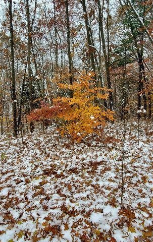 3821 118th Avenue, Allegan, MI 49010