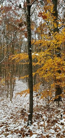 3821 118th Avenue, Allegan, MI 49010