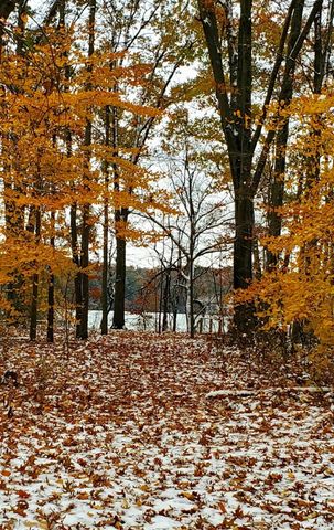 3821 118th Avenue, Allegan, MI 49010