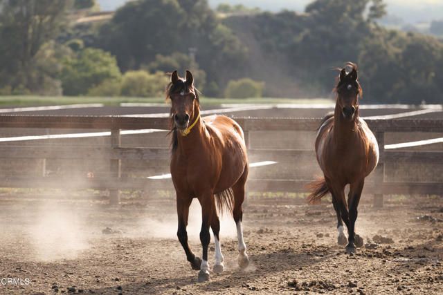 3325 Figueroa Mountain Road, Los Olivos, CA 93441