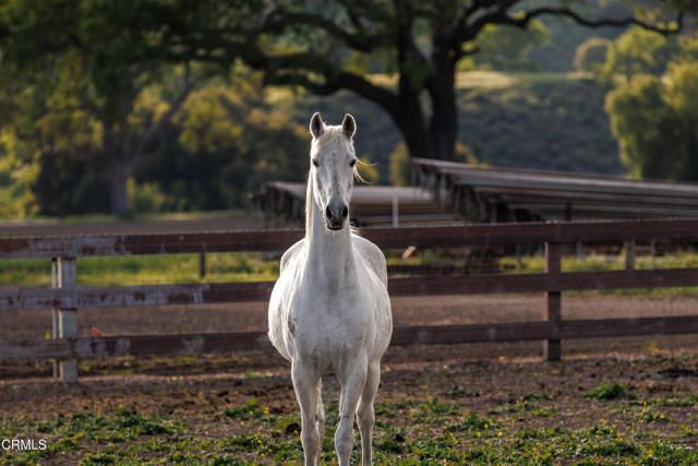 3325 Figueroa Mountain Road, Los Olivos, CA 93441