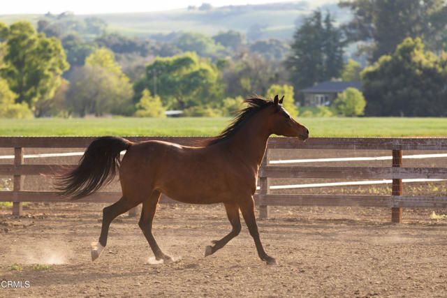 3325 Figueroa Mountain Road, Los Olivos, CA 93441