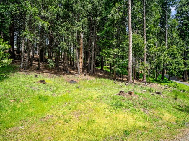 3319 Hazel St, Pollock Pines, CA 95726