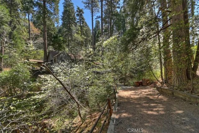 851 Cottage Grove, Lake Arrowhead, CA 92352