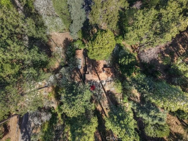 851 Cottage Grove, Lake Arrowhead, CA 92352