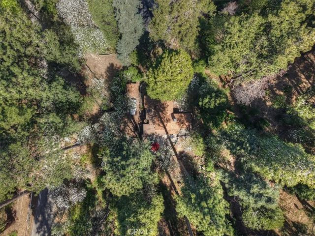 851 Cottage Grove, Lake Arrowhead, CA 92352
