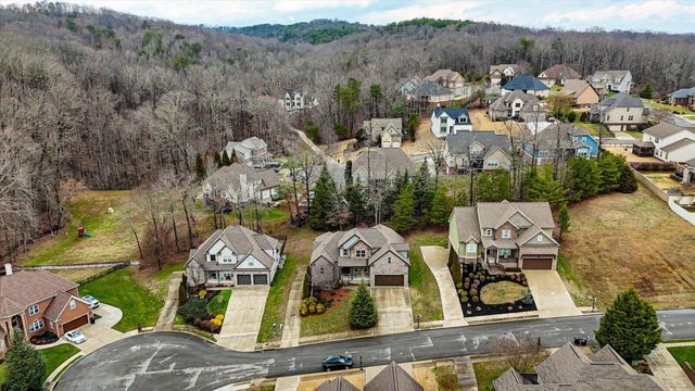 4225 Cripple Bush Court, Apison, TN 37302