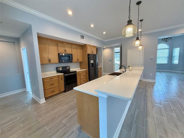 7460 THUNDERHEAD STREET, Wesley Chapel, FL 33544