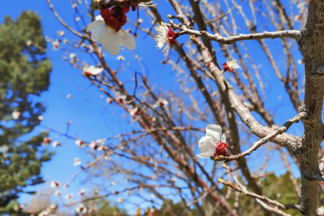 2076 SUMMERWOOD DR, Farmington, UT 84025