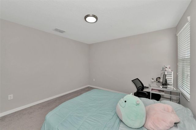 17009 PEACEFUL VALLEY DRIVE, Wimauma, FL 33598