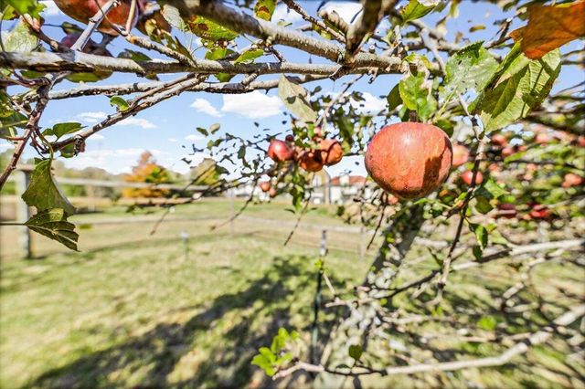 142 COUNTY ROAD 402-A, Fayette, MO 65248