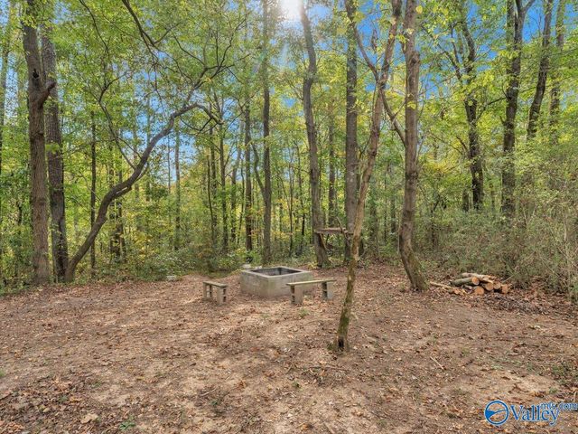 338 County Road 657, Rainsville, AL 35986