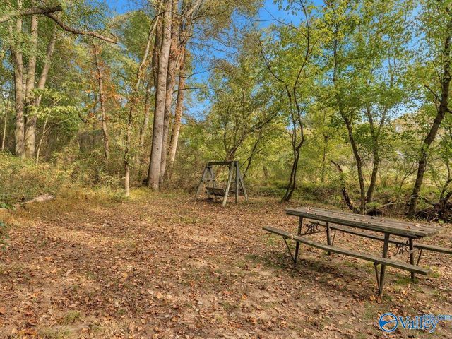 338 County Road 657, Rainsville, AL 35986