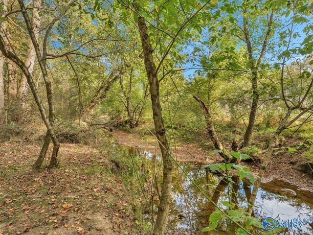 338 County Road 657, Rainsville, AL 35986