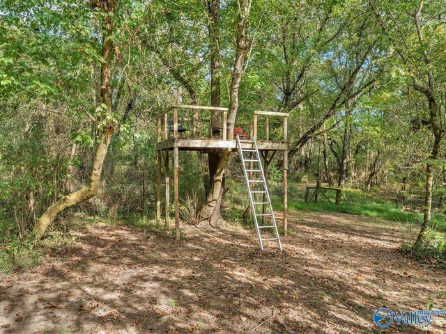 338 County Road 657, Rainsville, AL 35986