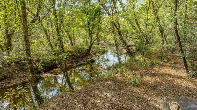 338 County Road 657, Rainsville, AL 35986