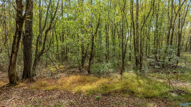 338 County Road 657, Rainsville, AL 35986