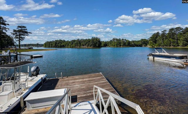 135 Willowood Cove, Chapin, SC 29036