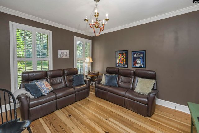 135 Willowood Cove, Chapin, SC 29036