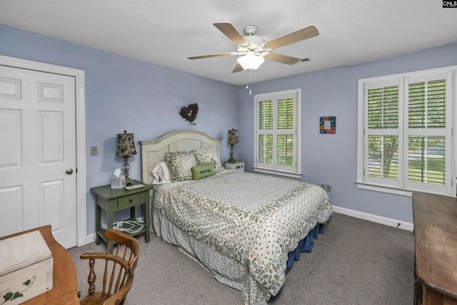 135 Willowood Cove, Chapin, SC 29036